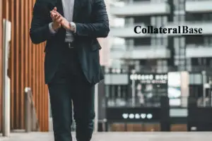 consumer sales