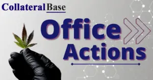 office action
