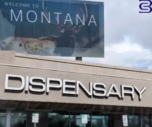 How to Open A Dispensary in Montana